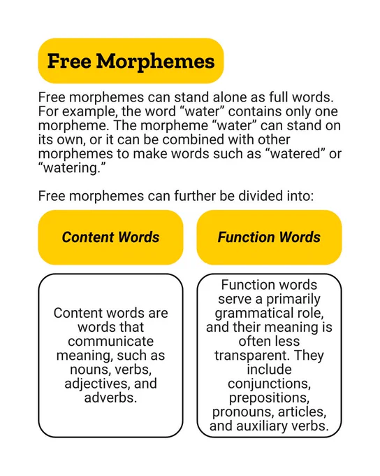 Free Morphemes
Free morphemes can stand alone as full words. For example, the word “water” contains only one morpheme. The morpheme “water” can stand on its own, or it can be combined with other morphemes to make words such as “watered” or “watering.”

Free morphemes can further be divided into:
Content Words
Content words are words that communicate meaning, such as nouns, verbs, adjectives, and adverbs.
Function Words
Function words serve a primarily grammatical role, and their meaning is often less transparent. They include conjunctions, prepositions, pronouns, articles, and auxiliary verbs.