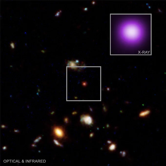 A composite image with an X-ray image inset at our top right. 

Shortly after NASA's Webb Space Telescope started its observations, reports of a new class of curious objects emerged. Astronomers discovered small red specks over 12 billion light-years from Earth. These objects were given the name "little red dots," or LRDs.

One such dot sits at the heart of this image. The composite optical and infrared image features a smattering of distant galaxies and other cosmic objects and phenomena in a variety of colors, set against the blackness of space. At the center of the square image is a small, somewhat pixelated, little red dot, outlined in a white box for clarity.

This curious, but inconspicuous, little dot is enlarged in an X-ray insert at our upper right, because it does something no other LRD has been found to do; it emits X-rays! The inset dot appears as a much larger white sphere in the Chandra image, ringed with a neon purple glow.