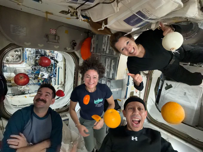 A group of astronauts (from left: Jack Hathaway, Jessica Meir, Chris Williams, and European Space Agency astronaut Sophie Adenot) floating in the space station with a fresh shipment of produce, including oranges, apples, peppers, and an onion. Credit: NASA/Chris Williams