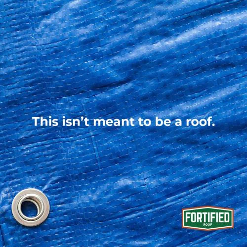 A close-up of a blue tarp with grommets, featuring the text "This isn’t meant to be a roof." The logo "FORTIFIED Roof" is located in the bottom right corner.