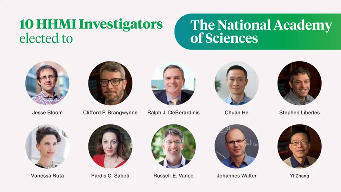 10 HHMI Investigators elected to the National Academy of Sciences:

- Jesse Bloom, Fred Hutchinson Cancer Center
- Clifford P. Brangwynne, Princeton University
- Ralph J. DeBerardinis, UT Southwestern Medical Center
- Chuan He, The University of Chicago
- Stephen Liberles, Harvard Medical School
- Vanessa Ruta, The Rockefeller University
- Pardis C. Sabeti, Harvard University
- Russell E. Vance, University of California, Berkeley
- Johannes Walter, Harvard Medical School
- Yi Zhang, Boston Children’s Hospital