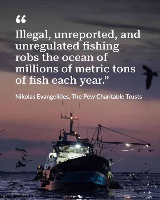 Fishing boat at dusk with birds flying, highlighting the impact of illegal, unreported, and unregulated fishing on ocean fish stocks.