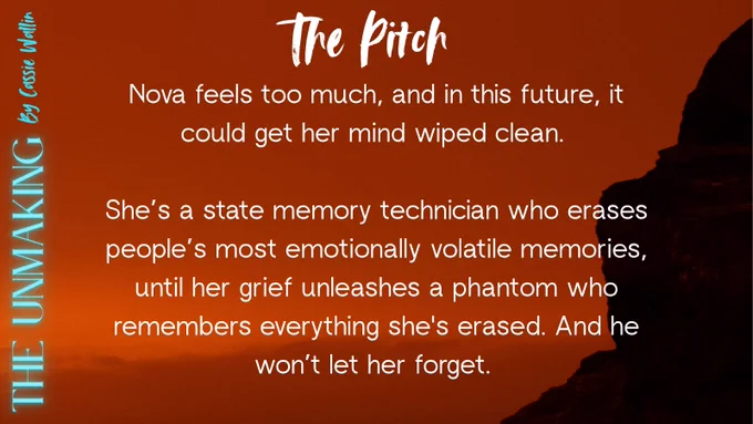 Pitch: Nova feels too much and in this future it could get her mind wiped clean