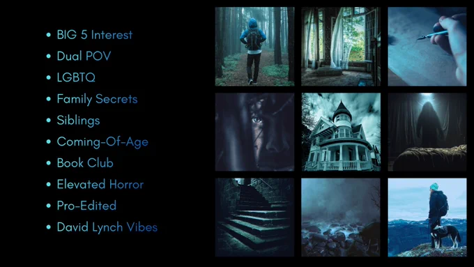 BIG 5 Interest
Dual POV
LGBTQ
Family Secrets
Siblings
Coming-Of-Age
Book Club
Elevated Horror
Pro-Edited
David Lynch Vibes