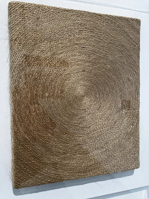 人毛、キャンバス：高橋涼子《光る絵画》