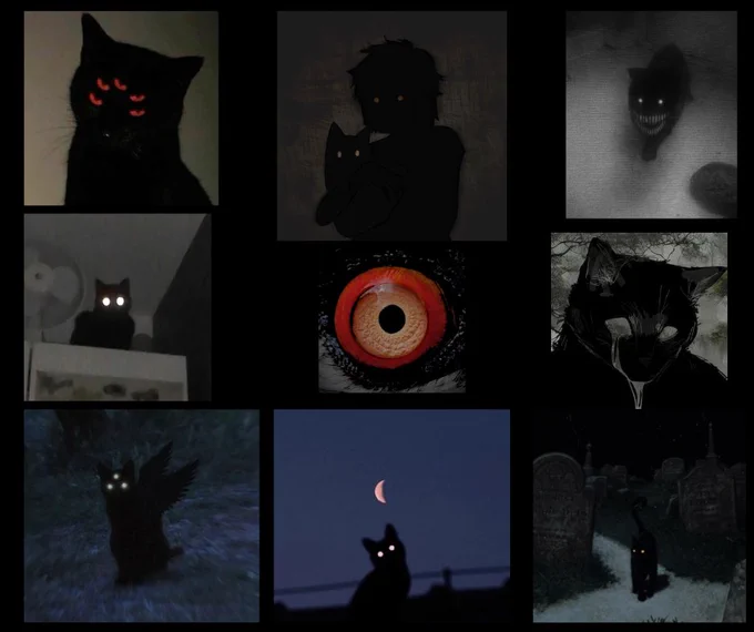 a moodboard for GODCAT, complete at 80k words, featuring pictures of black cats and a magpie's eye.