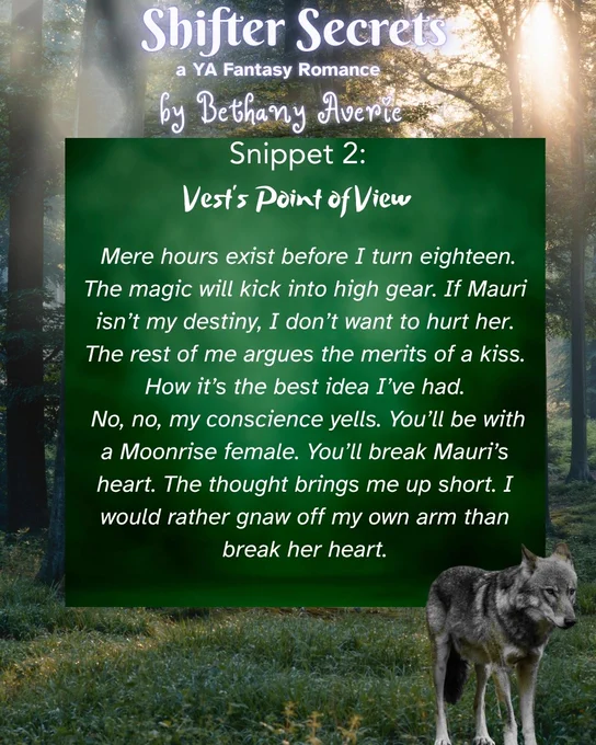 Forest background, in the center of the image is a green square. In front of the square is a gray-and-white wolf. Text above the green square reads: Shifter Secrets a YA Fantasy  Romance by Bethany Averie / in the green square the text reads: Snippet 2: Vest's Point of View:  Mere hours exist before I turn eighteen. The magic will kick into high gear. If Mauri isn’t my destiny, I don’t want to hurt her. The rest of me argues the merits of a kiss. How it’s the best idea I’ve had.  No, no, my conscience yells. You’ll be with a Moonrise female. You’ll break Mauri’s heart. The thought brings me up short. I would rather gnaw off my own arm than break her heart.