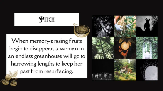 the fruitist pitch by tyler stasi