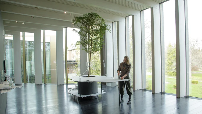 Agnes Meyer-Brandis, One Tree ID – Bucida Buceras, 2021/2025 Ⓒ Agnes Meyer-Brandis
