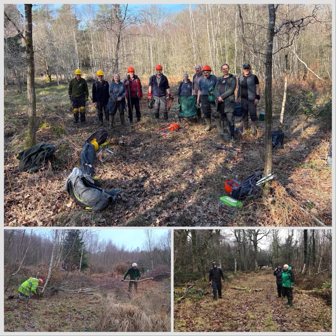A collage showing group of people stand in a forest clearing, wearing outdoor work gear and hard hats. Various tools and backpacks are on the ground in front of them. The surrounding area is filled with trees and fallen leaves. Two smaller images show individuals working and walking through wooded areas.