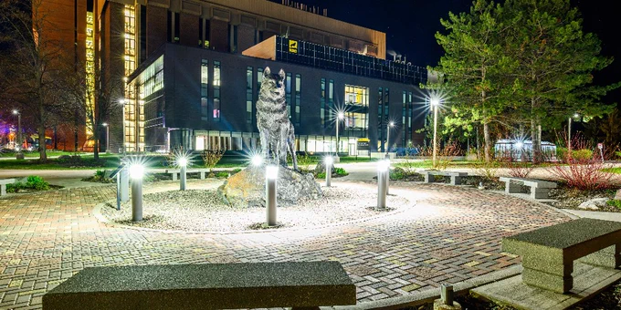 The Husky Statue on Michigan Tech's campus, lit up at night. 