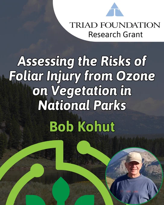An informational graphic for a Triad Foundation Research Grant. The top right corner features the Triad Foundation logo—a blue triangle with a white 'T' inside. The main title, centered in bold white text with a black outline, reads: "Assessing the Risks of Foliar Injury from Ozone on Vegetation in National Parks." Below the title, the name "Bob Kohut" is written in bright green. The background is a scenic photo of a pine forest and mountains reflecting in a calm lake. In the bottom right, there is a circular inset photo of Bob Kohut, a smiling man wearing a tan baseball cap and a blue shirt. Large, stylized green graphic lines and a leaf icon overlay the bottom left of the image.