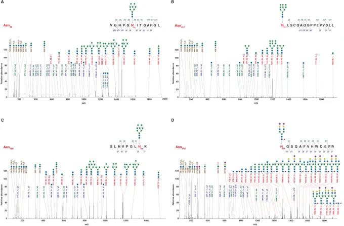 Figure 4 | Spectra of identified glycosylated peptides Representative spectra showing glycopeptide and glycan fragmentation patterns of AXL glycosylation sites N43 (A), N157 (B), N198 (C) and N345 (D).
