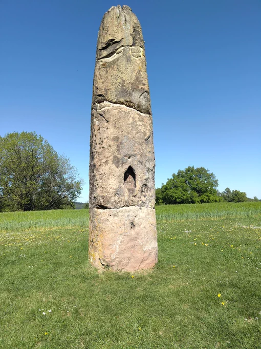 Gollenstein auf einer Wiese.