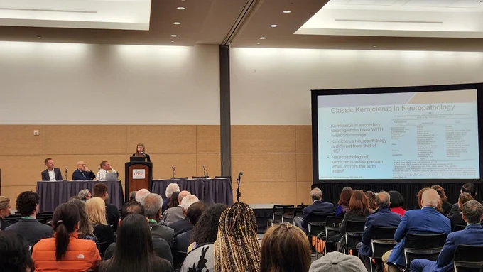 Dr. Holzapfel presenting at PAS conference.