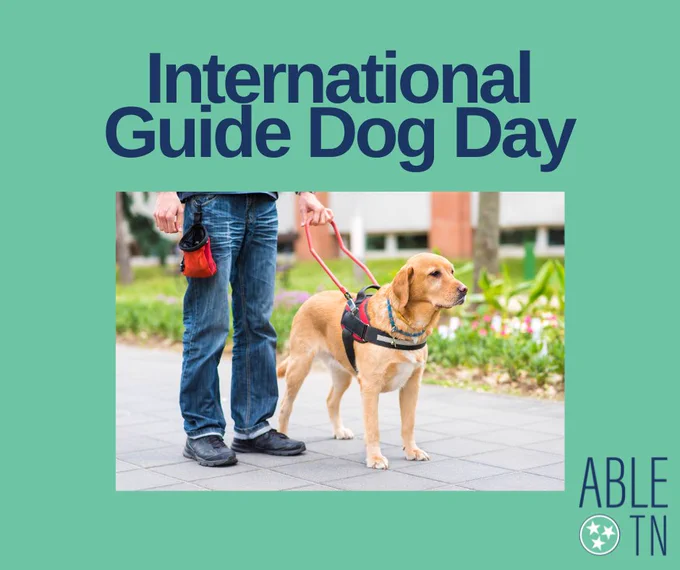 Graphic of a guide dog wearing a harness with text “International Guide Dog Day” with ABLE TN branding.