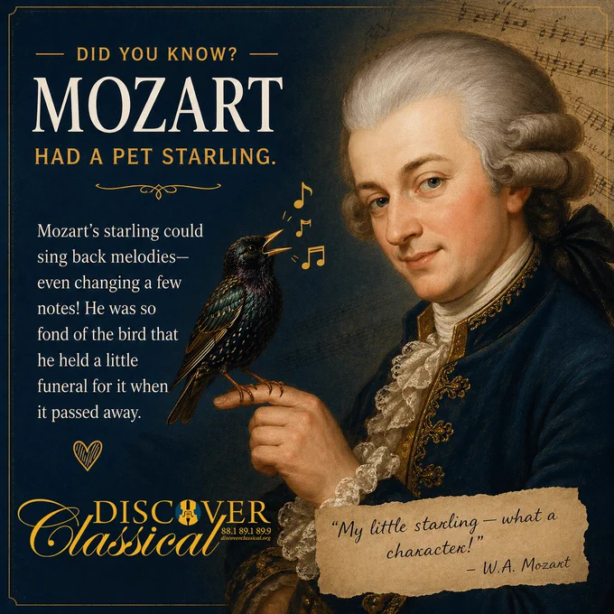Mozart Trivia & Facts