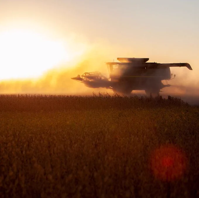 Combine in field with sun setting behind it and dust around it. 
