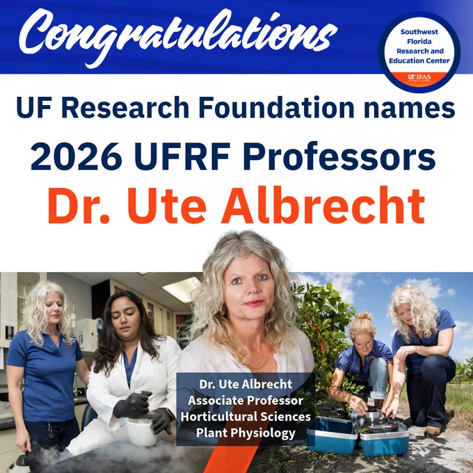 Congratulations banner for UF Research Foundation naming Dr. Ute Albrecht a 2026 UFRF Professor, featuring images of her in a lab and outdoor setting. 