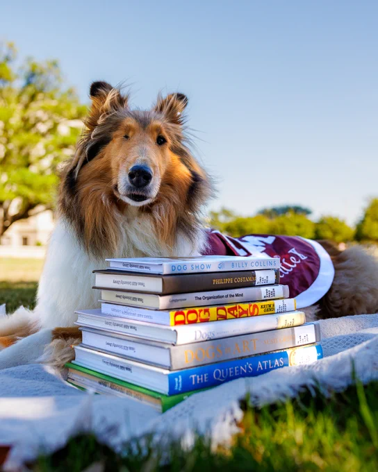 Texas A&M's dog mascot wearing a maroon blanket with "Reveille" written on it is lying on a blanket outdoors. Next to the dog is a stack of colorful books, including "The Queen's Atlas," "Dog Smart," and others. The setting is a grassy area with trees in the background under a clear blue sky.