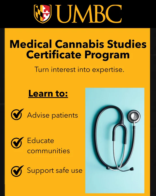 UMBC graphic promoting a Medical Cannabis Studies Certificate Program with text “Turn interest into expertise” and a list of outcomes including advising patients, educating communities, and supporting safe use, alongside an image of a stethoscope.
