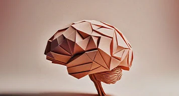 Paper model of brain