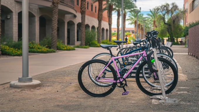 Pink and black bicycles lined up at a bike stand beside a sidewalk bordered by greenery and multi-story buildings.