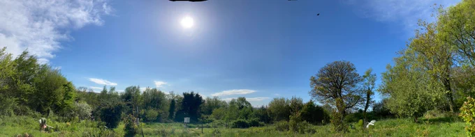 panoramic view, garden, met station, trees, birch sycamore and mainly blue sky, sun in middle, some whispy cloud to left and almost lenticular clouds low down just above trees