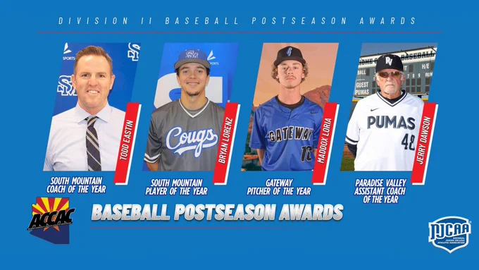 DII Baseball awards featuring Coach of the Year, Player of the Year, Pitcher of the Year honorees