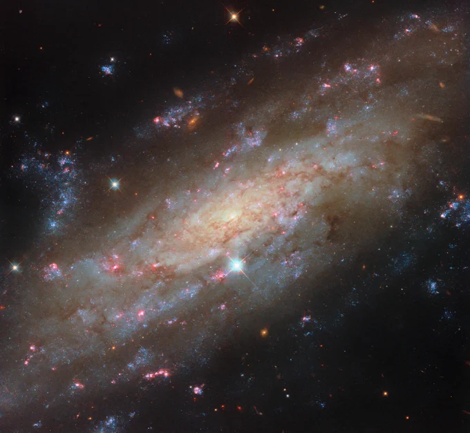 A spiral galaxy seen close up and tilted at an angle, so that its disc fills the view from corner to corner. Its disc is yellow near to the centre and pale blue farther out, showing cooler and hotter stars, respectively. Thin brown clouds of dust, glowing pink spots of star formation, and sparkling blue patches filled with star clusters swirl through the galaxy. Behind it, small orange dots are very distant galaxies.