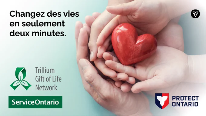 Une image de trois paires de mains délicatement entrelacées qui enveloppent un cœur en marbre.
Copy : Changez des vies en seulement deux minutes.

