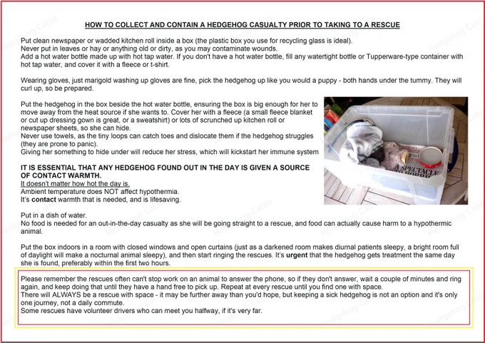 Hedgehog Cabin's walk-through to helping a hedgehog casualty.