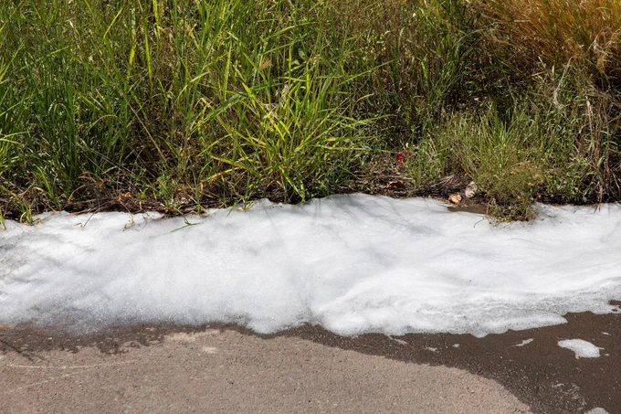 PFAS - image