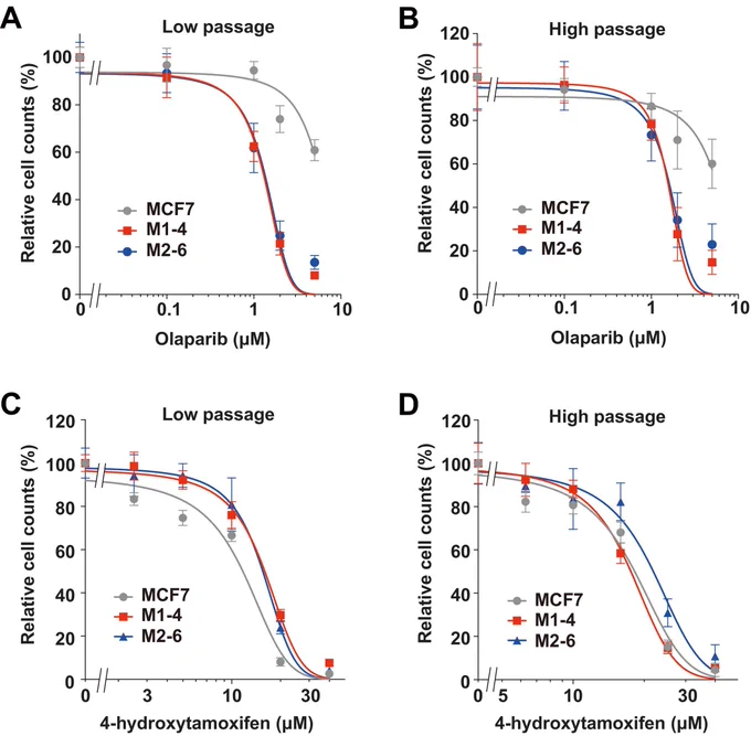 Kawasaki & Kasuyama et al., Cancer Reports, 2026; https://doi.org/10.1002/cnr2.70558
