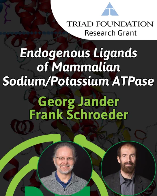 Promotional graphic for a Triad Foundation Research Grant titled “Endogenous Ligands of Mammalian Sodium/Potassium ATPase.” The image features a scientific protein structure background, the names Georg Jander and Frank Schroeder in bold green text, and circular headshots of two male researchers at the bottom. The Triad Foundation logo appears at the top.