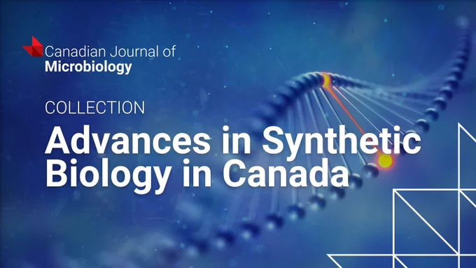 Close-up of a DNA double helix strand with glowing points, highlighting advances in synthetic biology research in Canada.