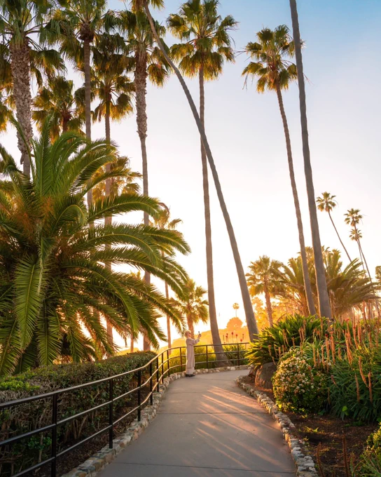 A person walks along a sunlit path lined with tall palm trees and lush greenery. A domed structure is visible in the distance under a clear blue sky.