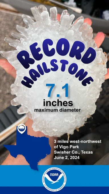 Hand holding a giant hailstone with text overtop that reads, “Record Hailstone, 7.1 inches maximum diameter”. The footer has an image of the state of Texas with text beside it that says, “3 miles west-northwest of Vigo Park, Swisher County, Texas, June 2, 2024”. (Credit: NOAA NCEI)
