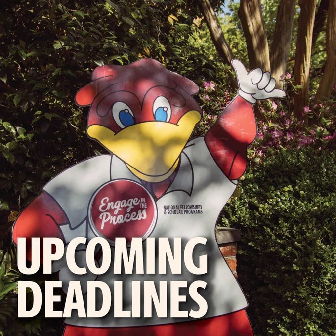 Photo of a cardboard cut out of Cocky. Text on photo reads: Upcoming Deadlines