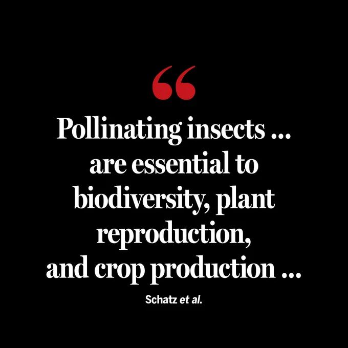 Quote on a black background with a red quotation mark. It reads: "Pollinating insects ... are essential to biodiversity, plant reproduction, and crop production ..." - Schatz et al.
