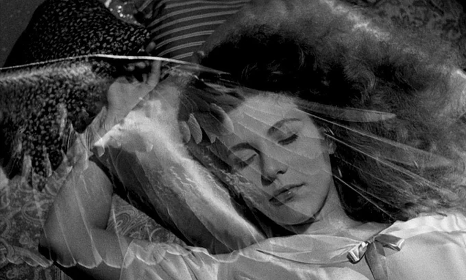 Wings of Desire (1987)