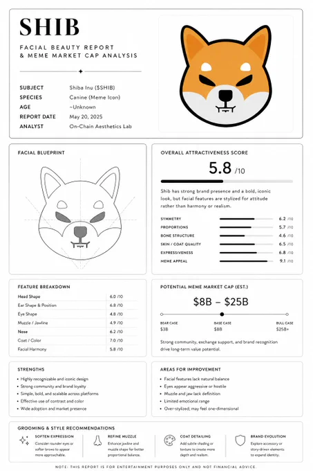 Shib potential report