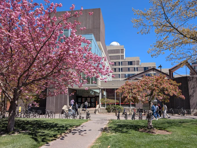 A photo of flowering trees in front of the Harvard Science Center with a bright blue spring sky above.