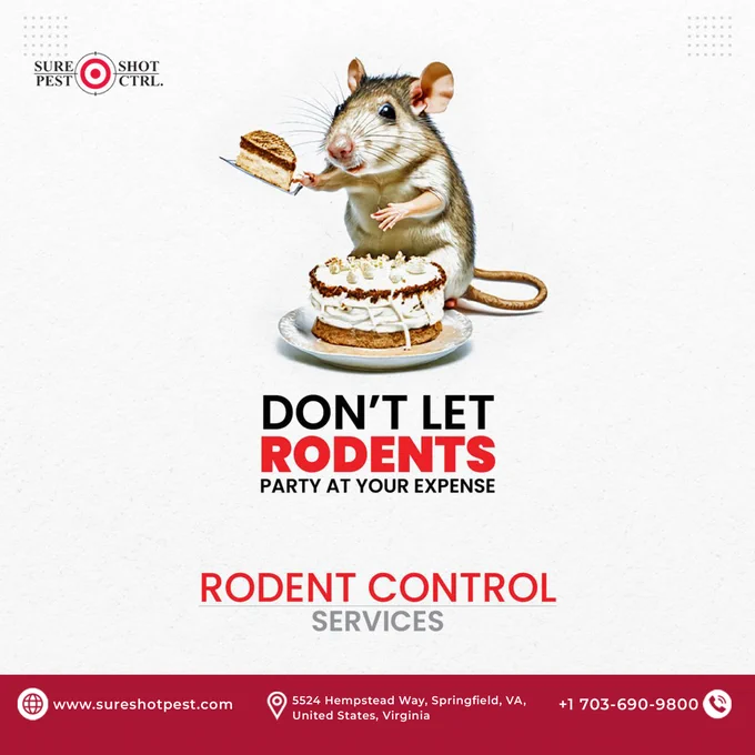 mouse eating cake on plate, rodent control advertisement, Sure Shot Pest Control Springfield VA