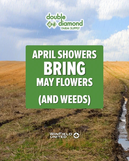 A field with tall grass under a cloudy sky. A dirt path runs through the grass. Text over the image says, "APRIL SHOWERS BRING MAY FLOWERS (AND WEEDS)." Logos for Double Diamond Farm Supply and WinField United are at the top and bottom.