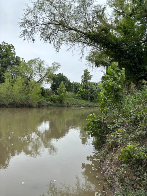 River lined with leafy foliage
