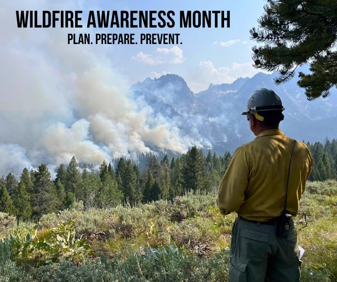 Firefighter watches smoke rising from a wildfire in a forested mountain area with Wildfire Awareness Month in text on the photo. 