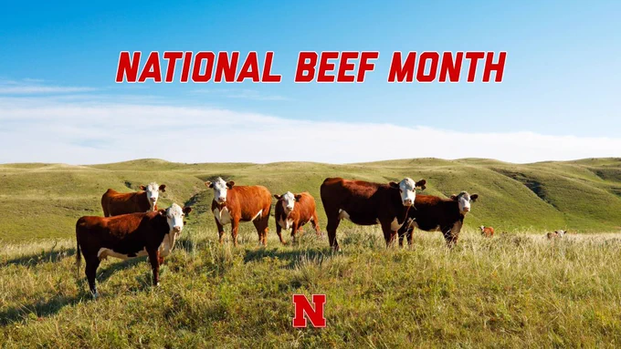 Cattle standing in a pasture in the Nebraska Sandhills. Text reads "National Beef Month”