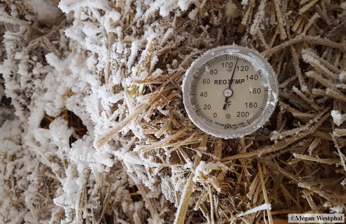 A thermometer reading 112F degrees in a compost pile of grassy material that has frost on the top