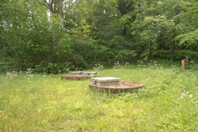 A grassy area with two circular concrete structures surrounded by trees and greenery. Wildflowers are scattered across the grass.